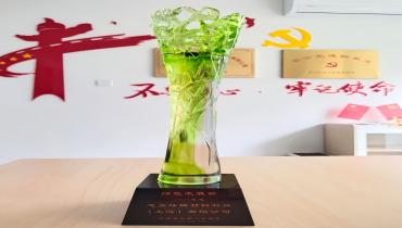 上海思嘉荣获“绿色工厂”称号