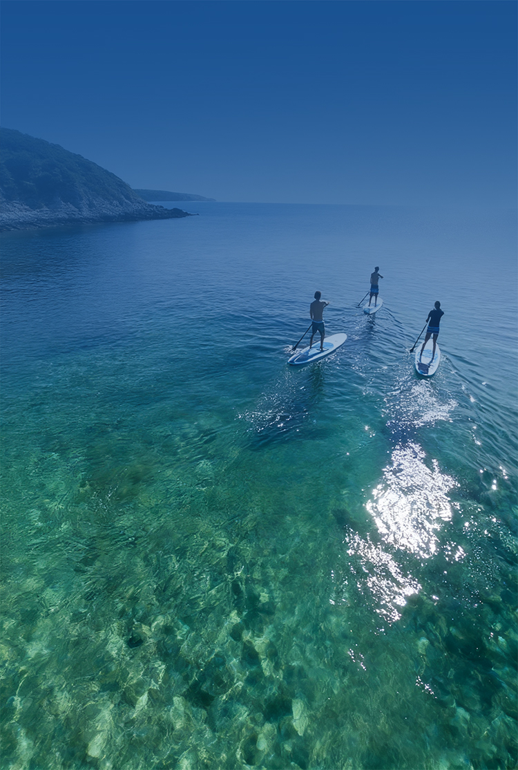 关于ky体育app官网网页